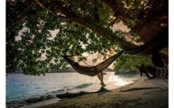 Amazonas Hamac Moskito-Traveller Extreme Noir 12 Amazonas Hamac Moskito-Traveller Extreme Noir -Mobilier du camping Magasin 505443 3457953